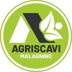 Agriscavi Malagnino