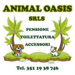 Animal Oasis
