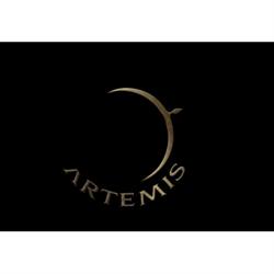 Artemis Consultancy