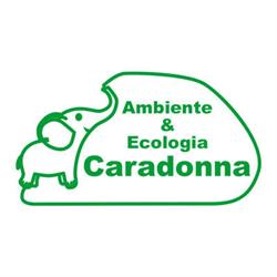 Spurghi Caradonna | Autospurgo - Spurgo Pozzi - Videoispezioni H24