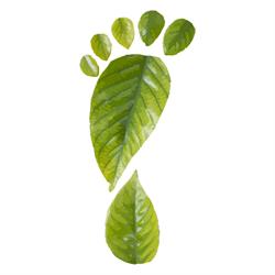 Green Energie