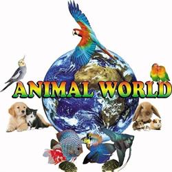 Animal World Pet House
