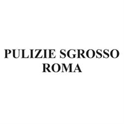 Pulizie Sgrosso Roma