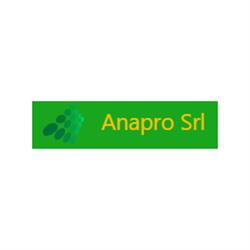 Anapro