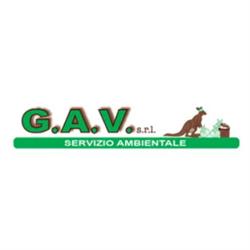 Gav