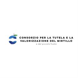 Consorzio per la tutela e la valorizzazione del mirtillo