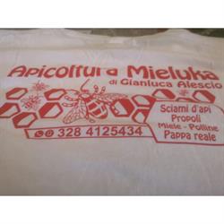 Apicoltura Mieluca