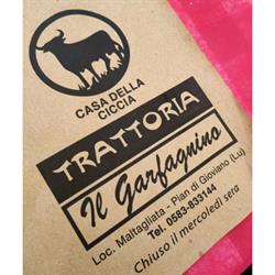 Ristorante Il Garfagnino