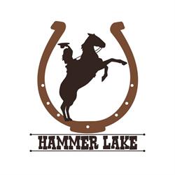 Hammer Lake di Patron Chiara