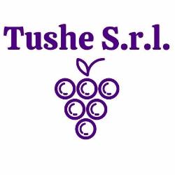 Tushe Srl