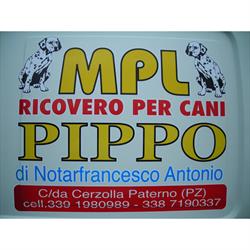 Mpl Ricovero per Cani Pippo