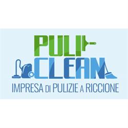 Puli clean