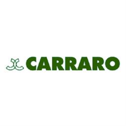 Casa Funeraria Carraro