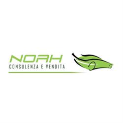 Noah Srls Consulenza e Vendita