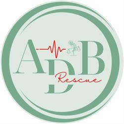 Adb Rescue Formazione & Assistenza