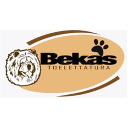 Bekas Toelettatura Sesto San Giovanni