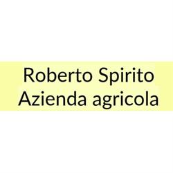 Roberto Spirito