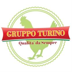 Gruppo Turino