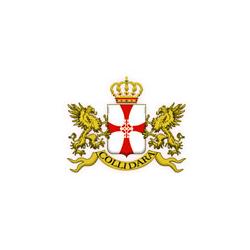 Collidara Group
