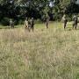 CAMPO