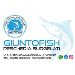 Giuntofish