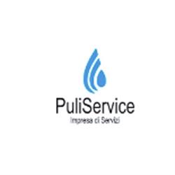 Puliservice