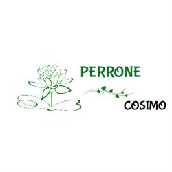 Perrone Cosimo