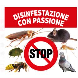 Disinfestazione con Passione