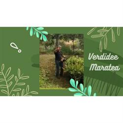 Verdidee