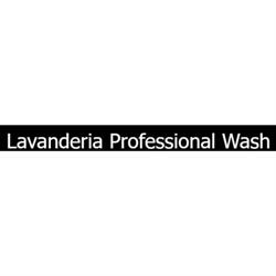 Professional Wash