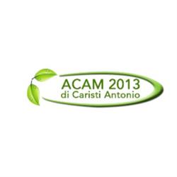 Acam 2013