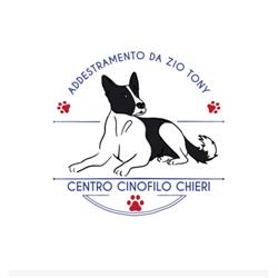 Addestramento da Zio Tony - Centro Cinofilo Chieri