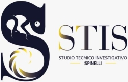 Studio Tecnico Investigativo Spinelli