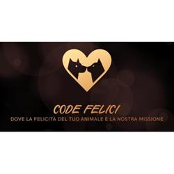 Code Felici