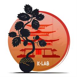 Kokedama Laboratorio