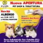 Gallery Cliente