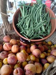 I sapori del Bosco