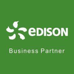 Punto Edison Business Partner