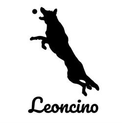 Campo Cinofilo Leoncino