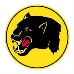 Aranceri Pantera Nera