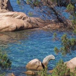 Azzurra Mare