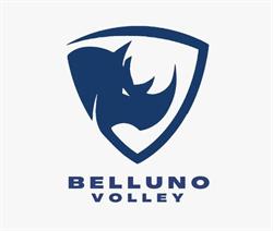 DRL Volley Team