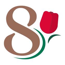 Storico8 Pizza in teglia,focacceria e cucina