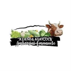 Ambrosini Emanuele, spaccio Azienda Agricola