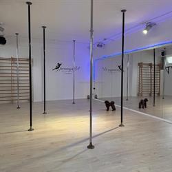 Pole Dance Piacenza