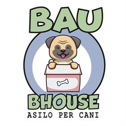 Bau Bhouse