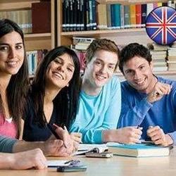 Unimed Consulting