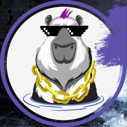 Capybara Media Srls
