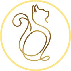 Musetti Blu Cattery British e Scottish
