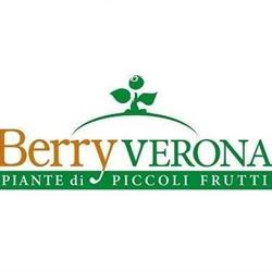 Berry Verona